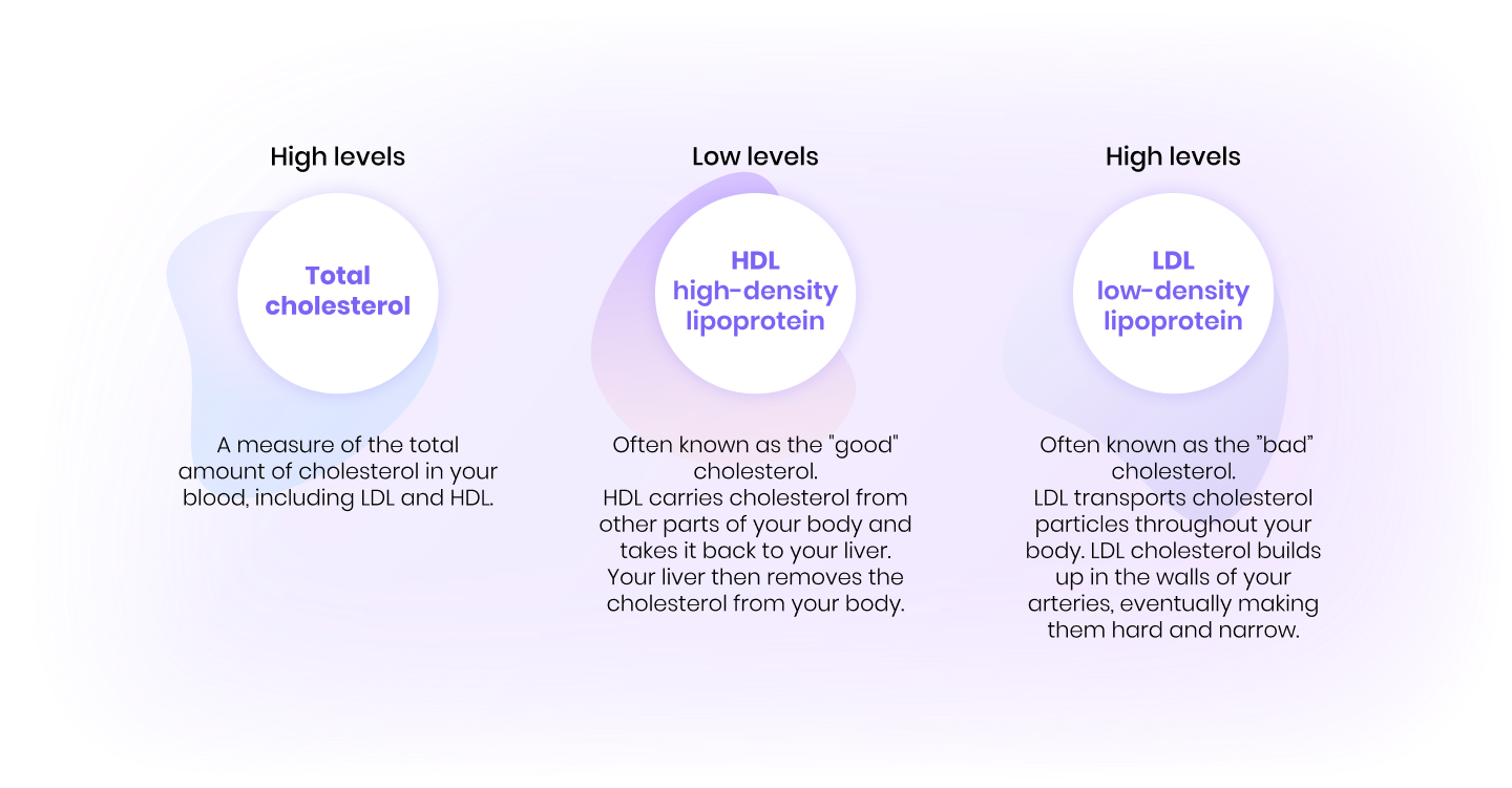 <p>Forms of cholesterol</p>
