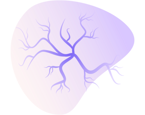 Cardiovascular and cerebrovascular diseases